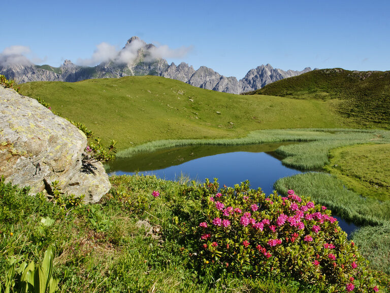 Bergfrühlingstage